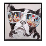 Youth City Shades Dog Framed Canvas - 61254