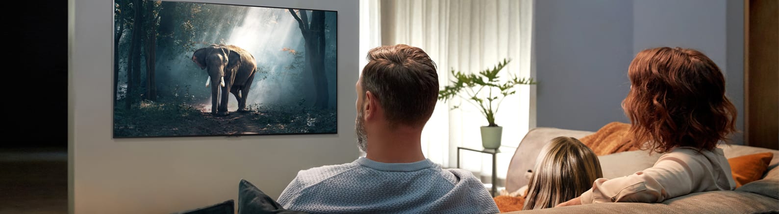 LG Home Entertainment