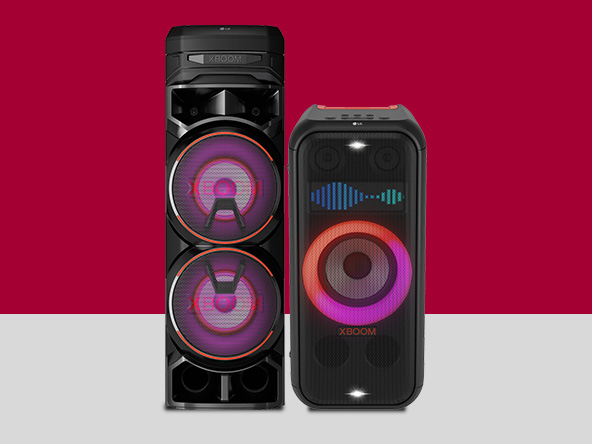 LG Party Systems